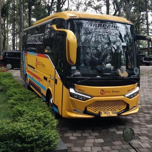 Bus pariwisata a
